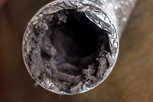 Best Affordable Duct Cleaning Services  in Caruthersville, MO